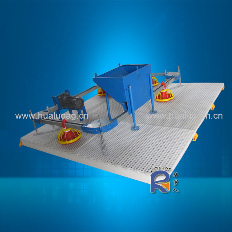Breeder Chain Feeding System