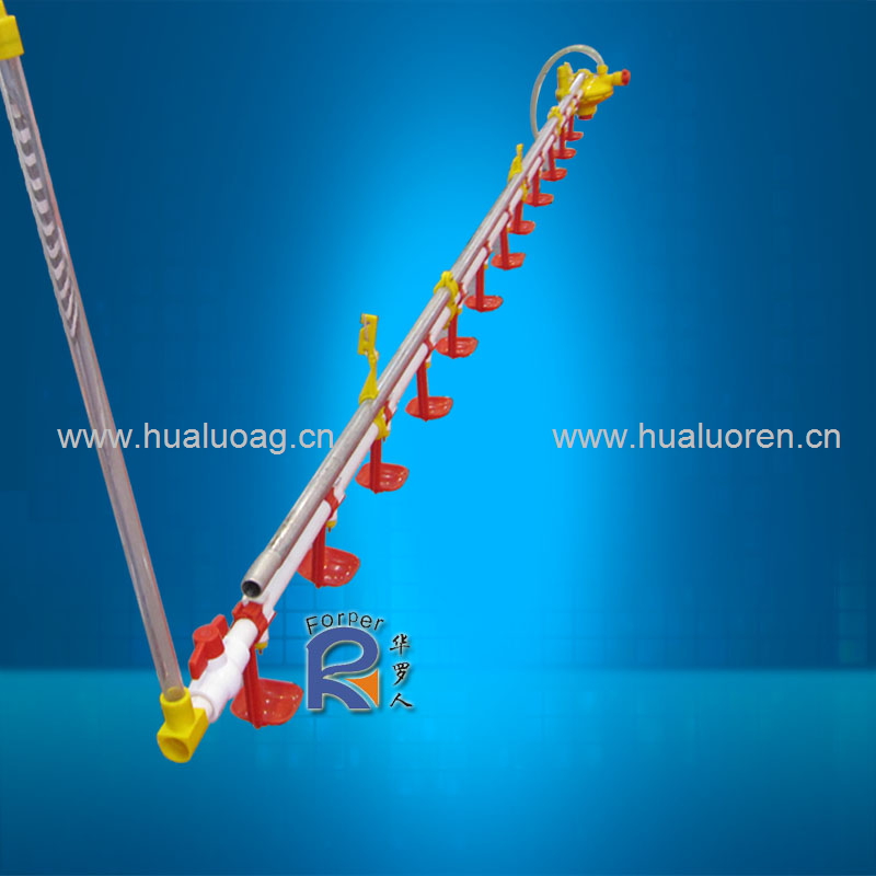 Nipple Drinking System